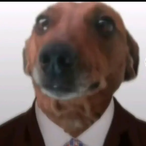 cigallito's Avatar'