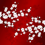 Akanami.'s Avatar'