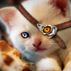 Sven.2711's Avatar'