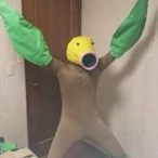 FatTurtless's Avatar'