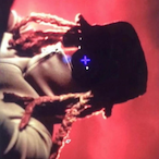 dark-wall592's Avatar'