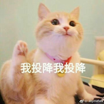 xiaobai___'s Avatar'