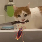 Roach.Killer's Avatar'