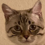 jjfraz's Avatar'