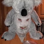 Koala.Man.'s Avatar'