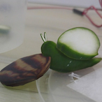 Sheggings._.'s Avatar'