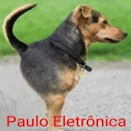 eronzito's Avatar'