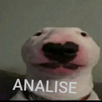 LamineYamalll's Avatar'