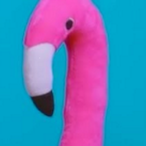 polarloI's Avatar'