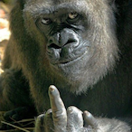 Ballpointpen42's Avatar'