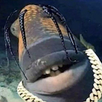 mango_pod436's Avatar'