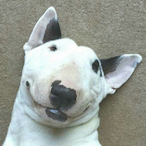ToxicDgenerate's Avatar'
