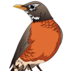 Robin_3v's Avatar'