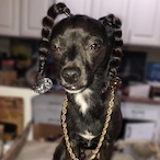 EarpNstein's Avatar'