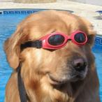 xd_Shurriken's Avatar'