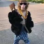 LeroySane__'s Avatar'