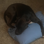 DEAD2ME CALI's Avatar'