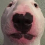 GoopyGingGong's Avatar'