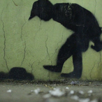 HitmanCyrus's Avatar