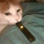 JUUL.Not.COOL's Avatar'