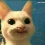 oceanDoodie's Avatar'