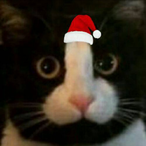flcpoir's Avatar'