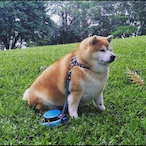 vampirebeaver50's Avatar'