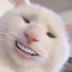 yFernandoOSGOD's Avatar'