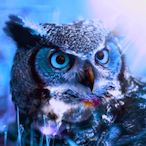 NighT_Fillin_'s Avatar'