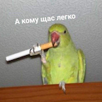 Bruh__Inside's Avatar'