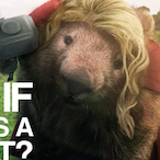 WastedWombat_'s Avatar'