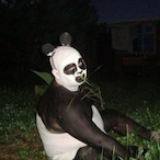 PandaCultLeader's Avatar'