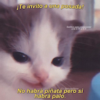 GSJ_BlackShadow's Avatar'