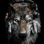R_mokafat-'s Avatar'