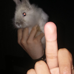 lNTERGALACTICAL's Avatar'