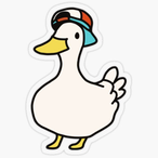 Duck-Boy's Avatar'