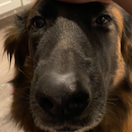 vBattlefieId's Avatar'