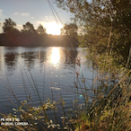 louielovepacket's Avatar'