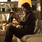 blingb1ing's Avatar'