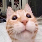 iSlh4's Avatar'