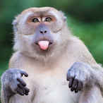 Sniper__Lyfe427's Avatar'