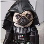 Darth_Mullet's Avatar