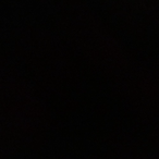 LLwifiskeleton's Avatar'