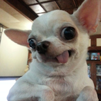 Li_Ki_Hong_Gan's Avatar'