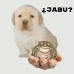 DonKakashko's Avatar'