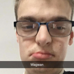Cwisbwag's Avatar'
