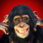 ximf2twitch's Avatar'