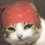 HajistaIlin's Avatar'