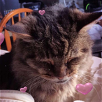 Sempitaernal's Avatar