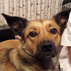 preston Gavin's Avatar'